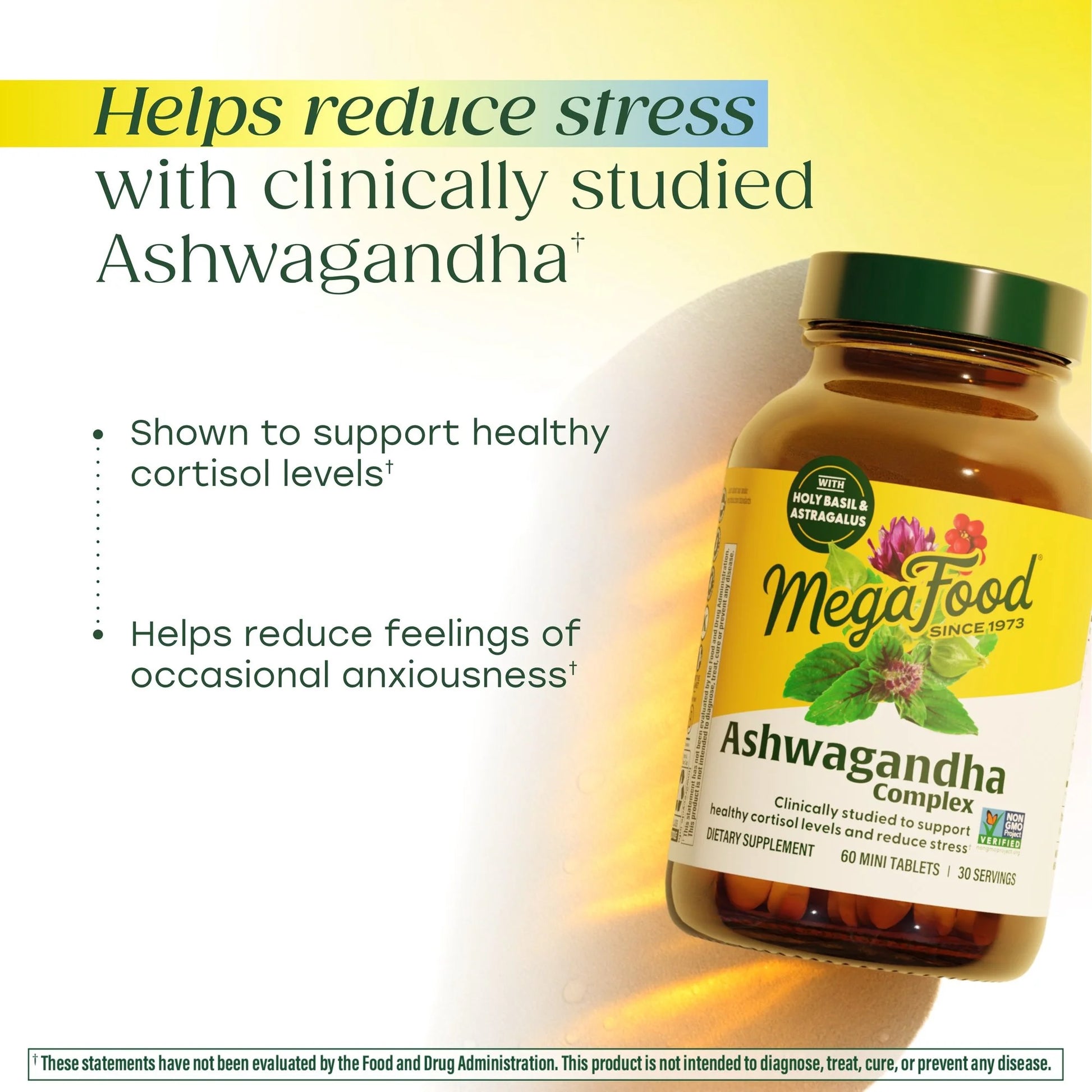 Ashwagandha Complex (Formerly Stress Protect) - Cortisol Support - 30 Servings