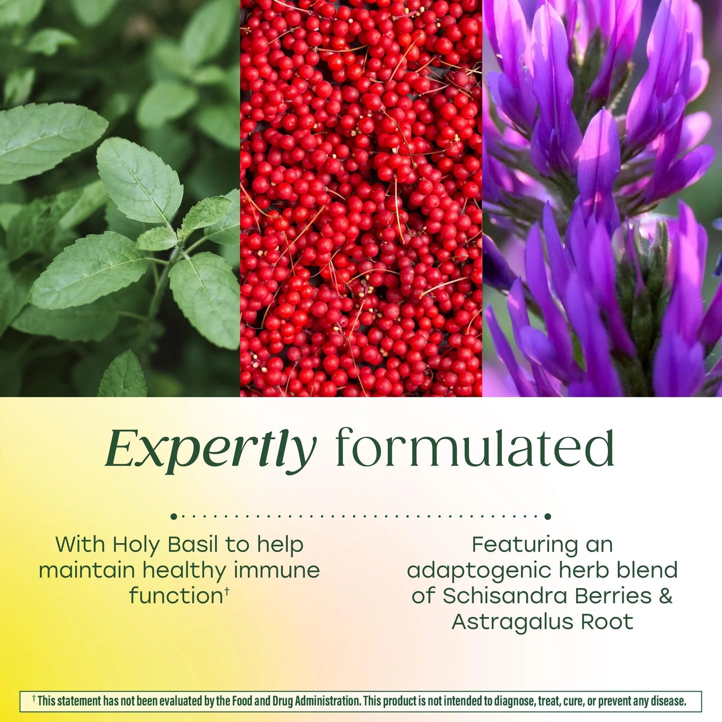 Ashwagandha Complex (Formerly Stress Protect) - Cortisol Support - 30 Servings