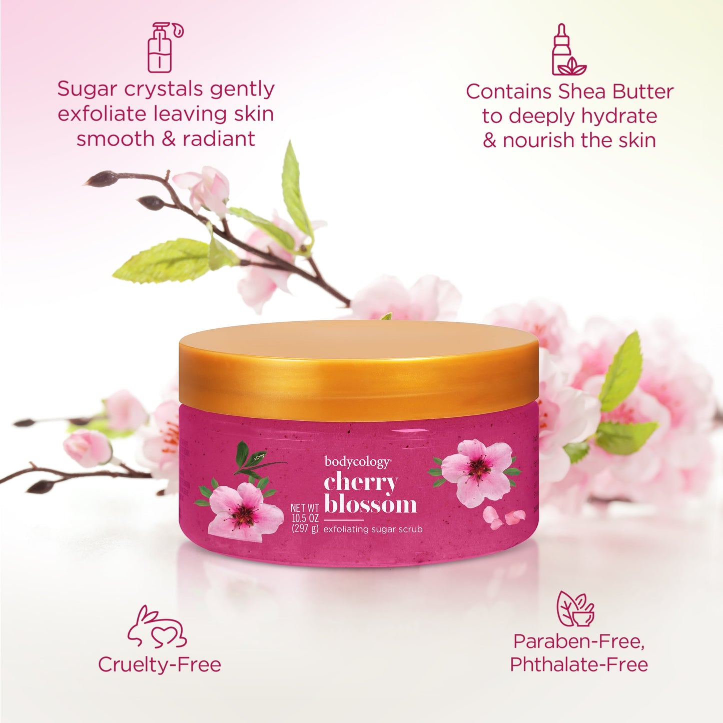 (4 Pack)  Exfoliating Sugar Scrub, Cherry Blossom, 10.5 Oz